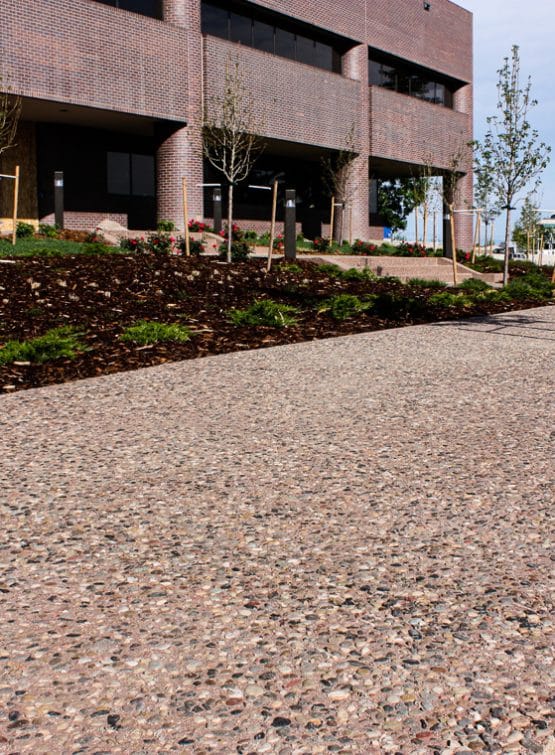 Exposed aggregate flatwork done on exterior pathway at office building.