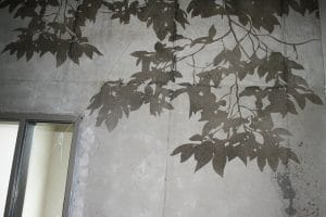 Sandblasted Concrete look like tree shadows on form finished wall.