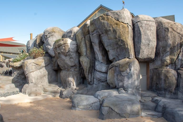 Repainted rocks to resemble South African beach at the Penguin Exhibit at Denver Zoo.