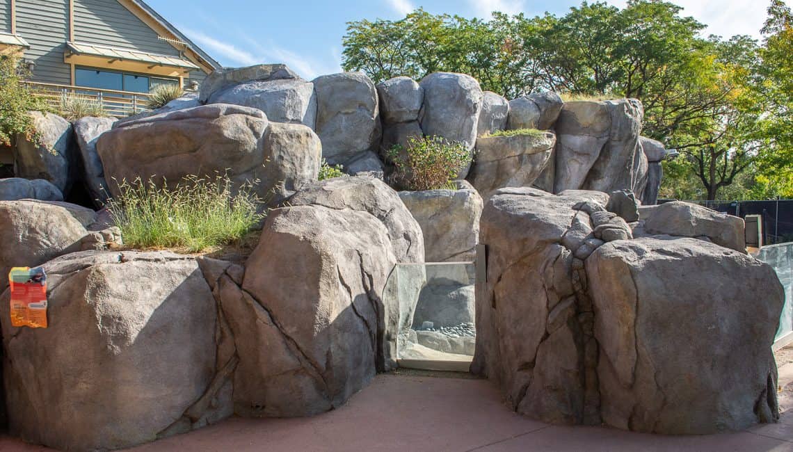 Repainted rocks to resemble South African beach at the Penguin Exhibit at Denver Zoo.