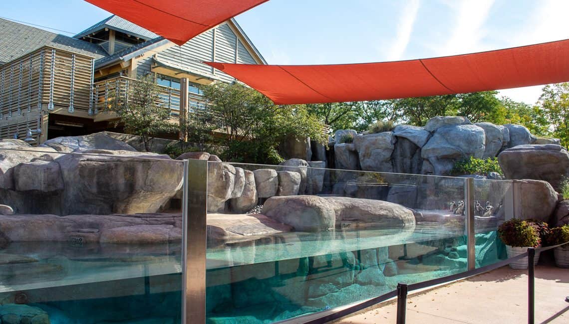 View of pool and rocks at the penguin exhibit at Denver Zoo.