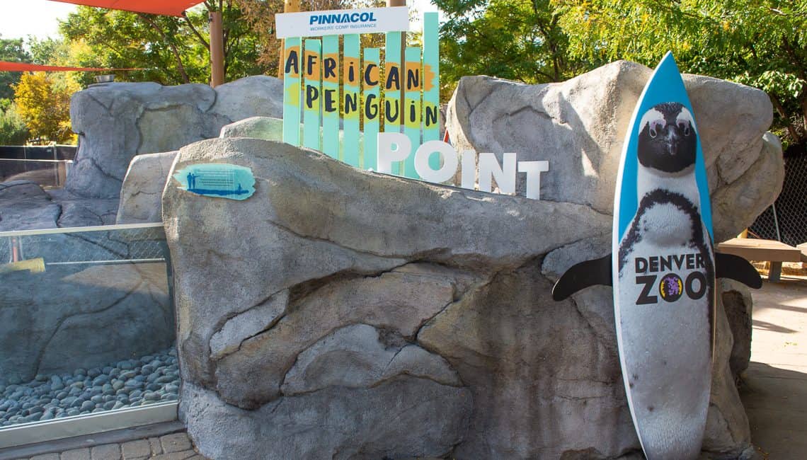 Exhibit sign called African Penguin Point at the penguin exhibit at Denver Zoo in Colorado.